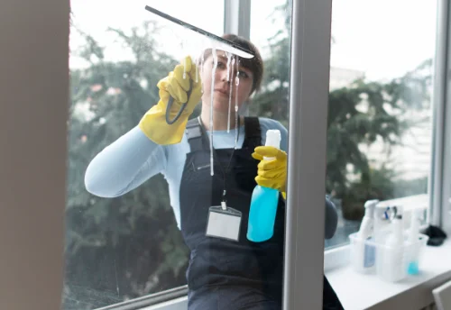 Nettoyage de vitres intérieures et extérieures à Véranne